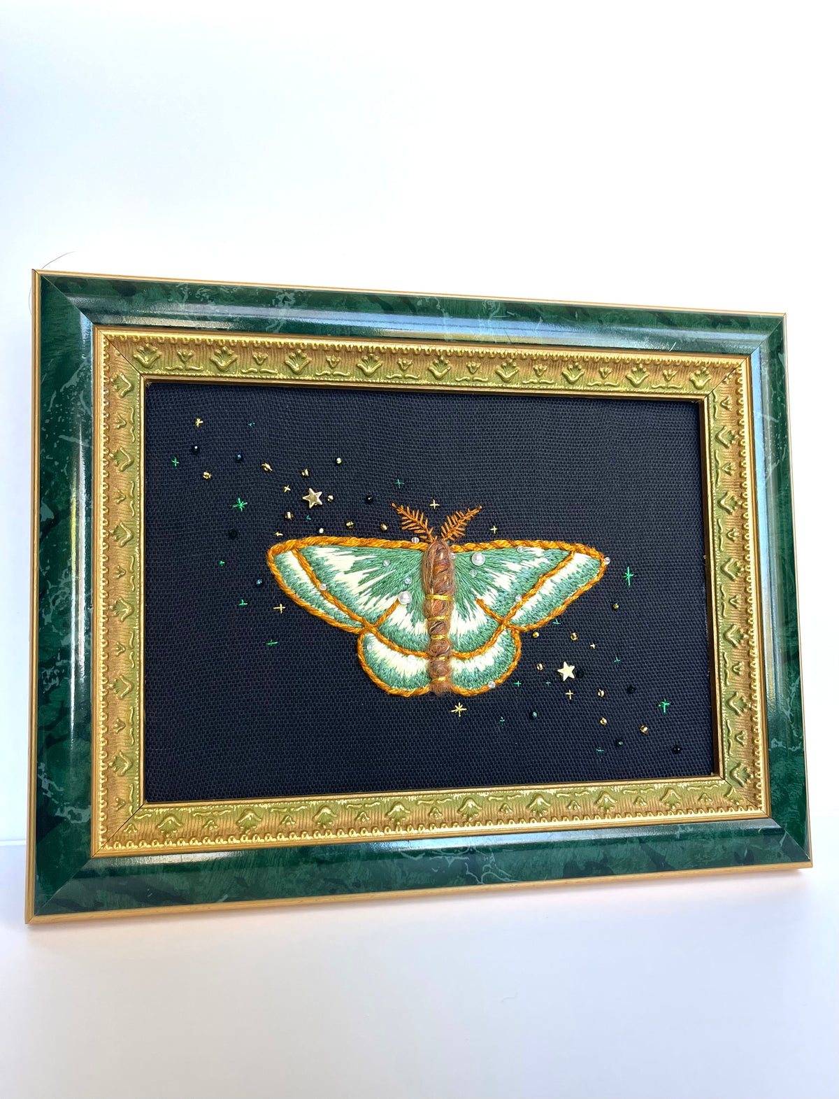 Mignonette Moth