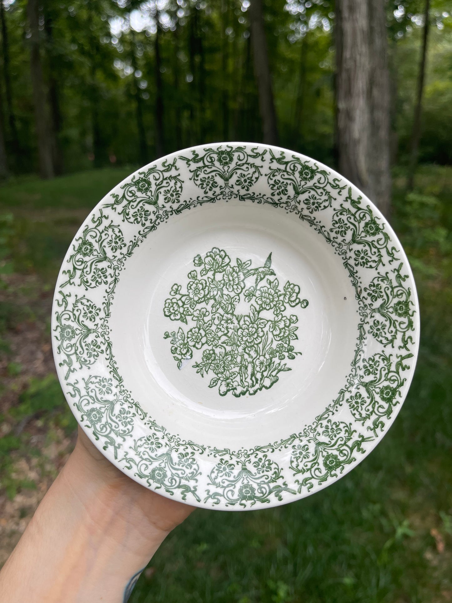 Forestcore Fundraiser Bundle!