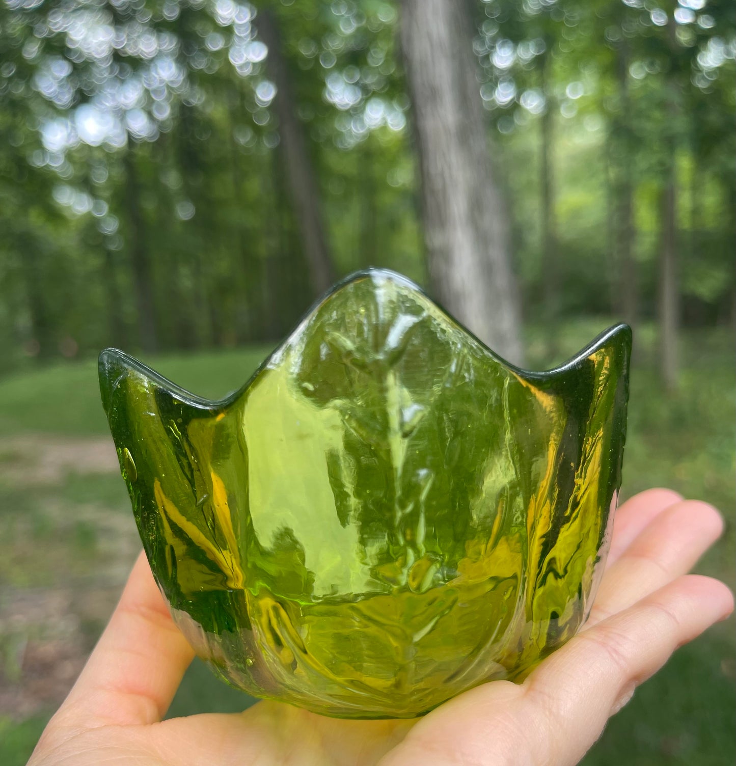 Forestcore Fundraiser Bundle!