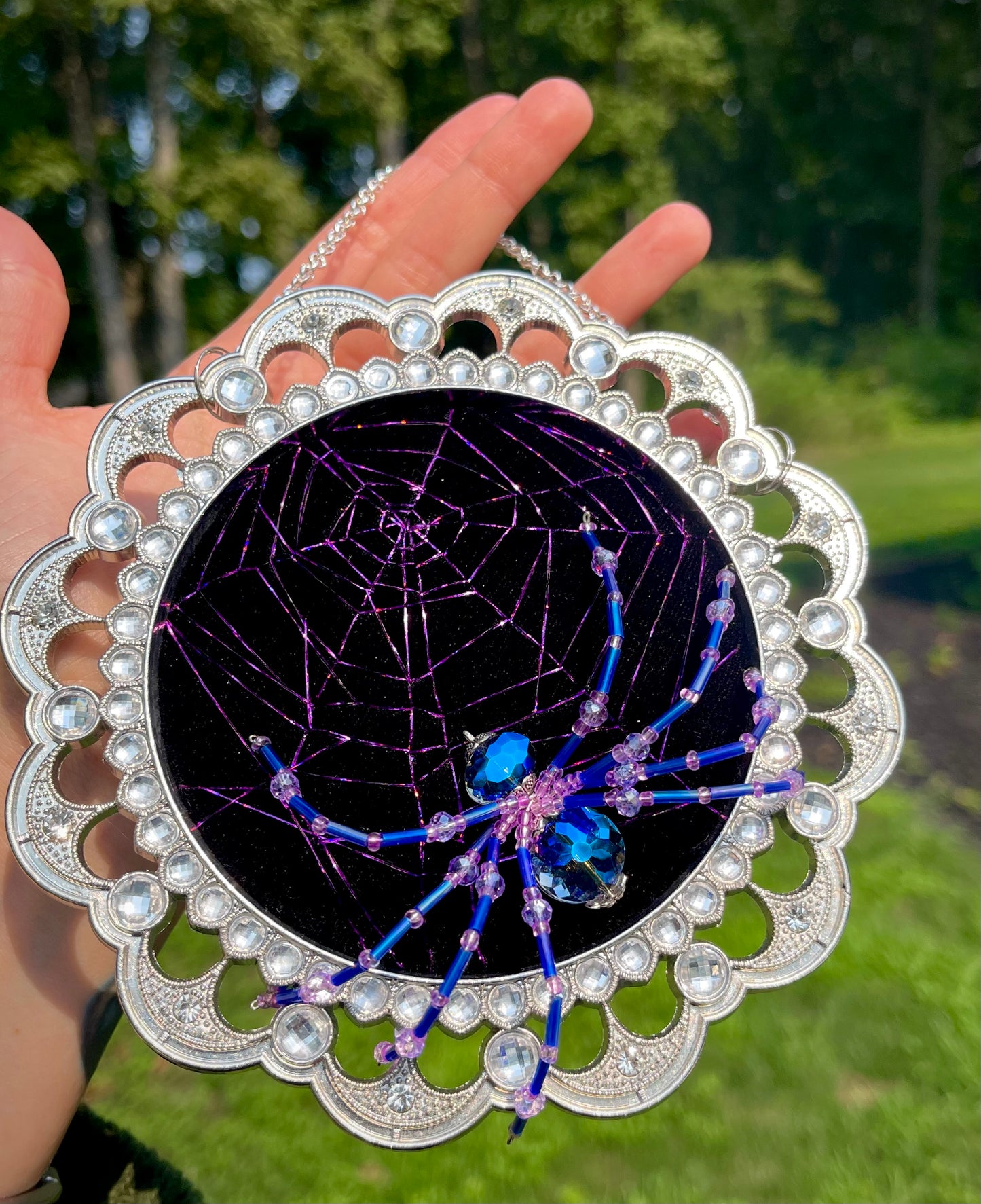 Amaranth Arachnid 🕷️