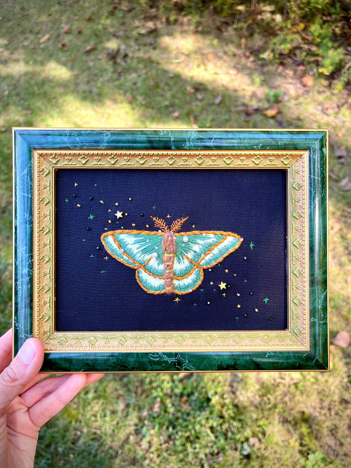 Mignonette Moth