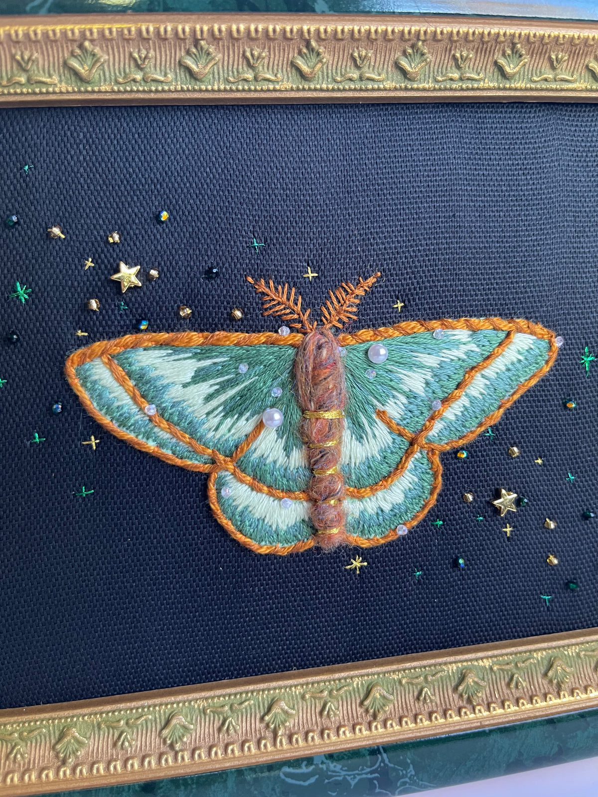 Mignonette Moth