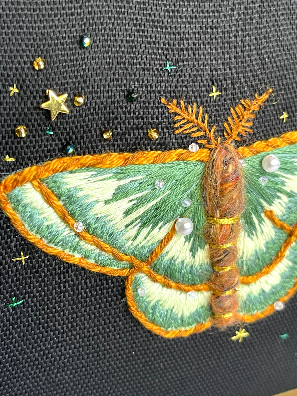 Mignonette Moth