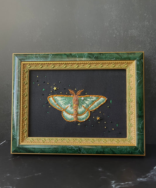 Mignonette Moth
