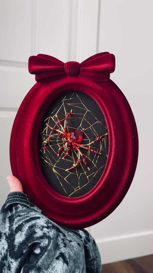 Velveteen Spider